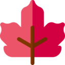 weather,nature,plant,botanical,leaf,garden,maple leaf,autumn,maple syrup,fall